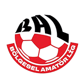 Profesyonelliğe Geçiş Ligi