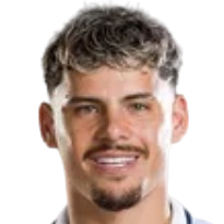 M. Araujo