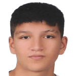 Çınar Temir