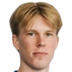 J. Laine