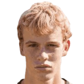 F. van der Sterren
