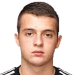 N. Mihajlovic