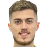 Ş. Lefter