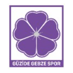 G.Gebzespor
